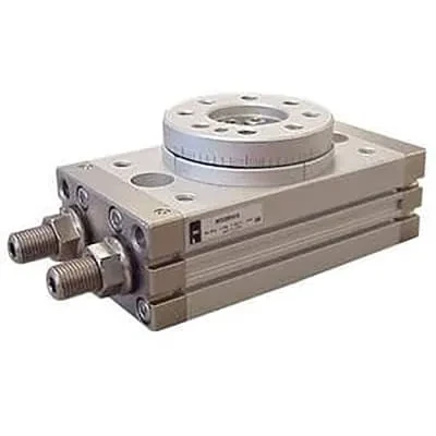 ROTARY CYLINDER-TYPE 1 (Model: MSQB10-R)