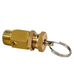 1/4" BSPT Male Thread Pressure Relief Valve for Air Compressor 8KG